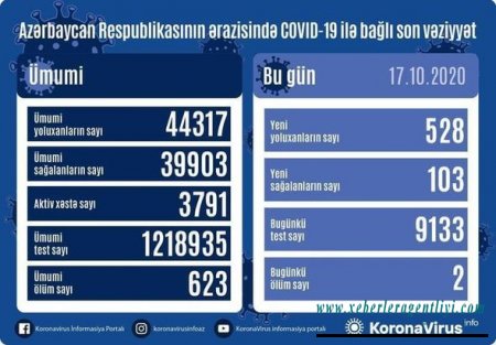 Azərbaycanda sutka ərzində daha iki nəfər koronavirusdan öldü: 528 yeni yoluxma - FOTO