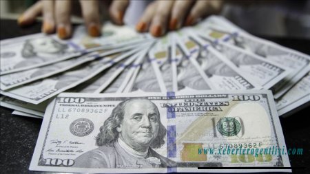 Ukrayna şirkətləri Rusiyadan 82 milyon dollar təzminat istəyir