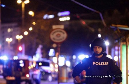 Terrorun baş verdiyi Avstriyanın bütün ərazisində təhlükəsizlik gücləndirildi