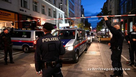Vyana teraktı ilə əlaqədar 14 nəfər saxlanılıb