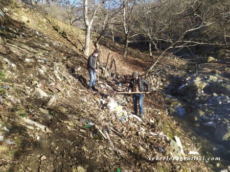 İsmayıllıda ümumrayon iməcliyi keçirilib