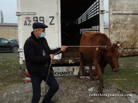 Şəhid ailələri və qazilər özünüməşğulluq proqramına qoşuldu