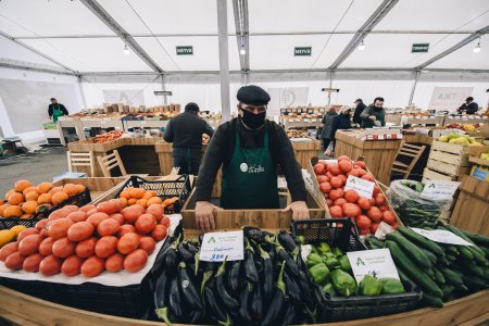 Bakı və Abşeronda “Kənddən Şəhərə” Novruz yarmarkaları keçiriləcək