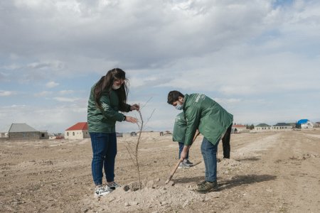Aqrar İnkişaf Könüllüləri Nizami Gəncəvinin 880 illiyi ilə əlaqədar ağacəkmə aksiyası keçirib