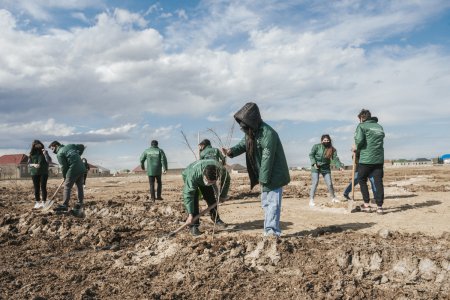 Aqrar İnkişaf Könüllüləri Nizami Gəncəvinin 880 illiyi ilə əlaqədar ağacəkmə aksiyası keçirib