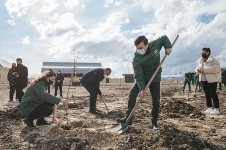 Aqrar İnkişaf Könüllüləri Nizami Gəncəvinin 880 illiyi ilə əlaqədar ağacəkmə aksiyası keçirib