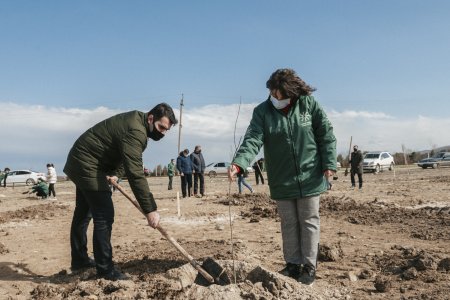 Aqrar İnkişaf Könüllüləri Nizami Gəncəvinin 880 illiyi ilə əlaqədar ağacəkmə aksiyası keçirib