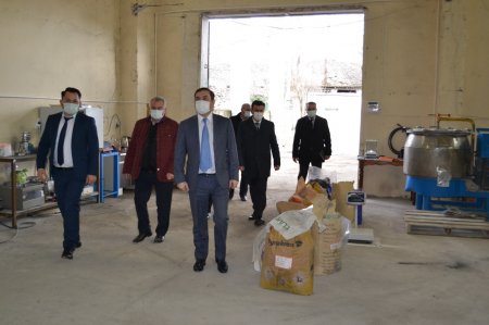 İsmayıllıda yeni Toz Boya zavodu istifadəyə verildi