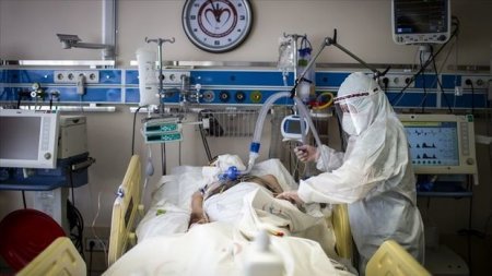 Türkiyədə son 24 saat ərzində 343 nəfər koronavirusdan vəfat edib