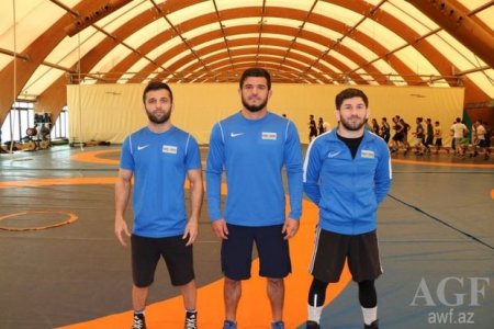 Üç Azərbaycan güləşçisi Avropa çempionatında medal qazandı
