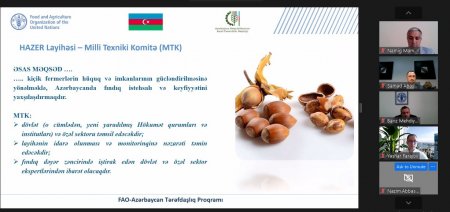 “Azərbaycanda fındıqçılıq sahəsində səmərəliliyin və dayanıqlılığın sürətləndirilməsi