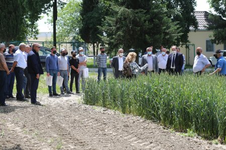 Fermerlər, toxum istehsalçıları və idxalçıları üçün təlim keçirilib