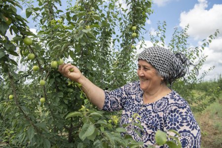 Nazir İnam Kərimov Şamaxı və Ağsuda yeni inşa edilən kənd təsərrüfatı müəssisələrində olub, fermer təsərrüfatlarına baş çəkib