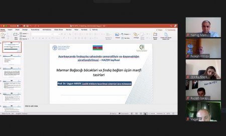 “Azərbaycanda fındıqçılıq sahəsində səmərəliliyin və dayanıqlılığın sürətləndirilməsi – HAZER” layihəsi çərçivəsində yaradılan Milli Texniki Komitənin ikinci onlayn tədbiri keçirilib. 