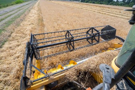 Bugünədək 578250 hektar sahədə biçin aparılıb, sahələrdən 1832176 ton məhsul yığılıb