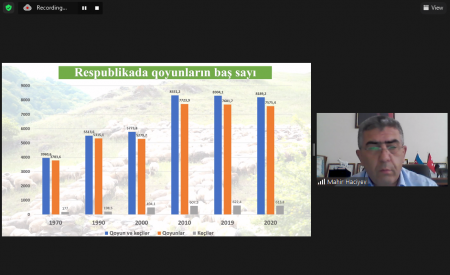 Azərbaycanda qoyunçuluq strategiyası ilə bağlı qiymətləndirmə hesabatının təqdimatı baş tutub