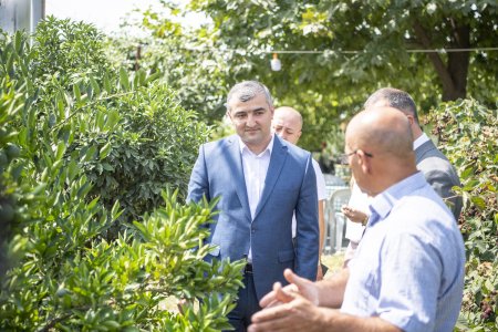 “Şəhərdən Kəndə” layihəsi çərçivəsində dəstək tədbirləri davam edir