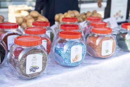 Respublika toxum sərgi-satış yarmarkası öz işini uğurla yekunlaşdırdı