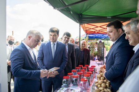 Respublika toxum sərgi-satış yarmarkası öz işini uğurla yekunlaşdırdı