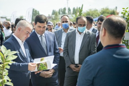 Respublika toxum sərgi-satış yarmarkası öz işini uğurla yekunlaşdırdı