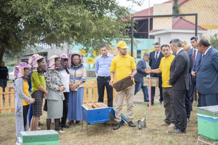 “Şəhərdən Kəndə” aqroekoturizm layihəsi çərçivəsində daha bir təsərrüfata dəstək göstərilib