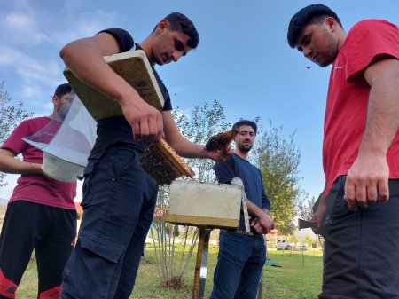 “Aqrar Məşğulluğun Artırılması” layihəsi (AMAL) çərçivəsində gənc fermerlər üçün beş günlük təcrübə proqramı təşkil olunub