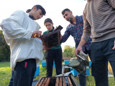 “Aqrar Məşğulluğun Artırılması” layihəsi (AMAL) çərçivəsində gənc fermerlər üçün beş günlük təcrübə proqramı təşkil olunub