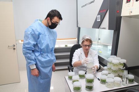 Fındıqçılıq Üzrə Texniki Sertifikat Proqramının təlimləri yekunlaşıb