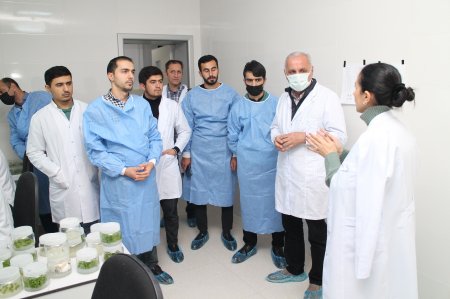 Fındıqçılıq Üzrə Texniki Sertifikat Proqramının təlimləri yekunlaşıb