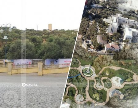Bakının mərkəzində salınacaq parkın görüntüləri - FOTO
