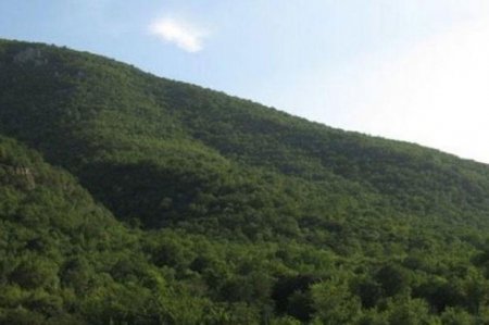  Yeganə yayılma mərkəzi Qarabağla məhdudlaşan nadir bitki növləri tədqiq olunacaq