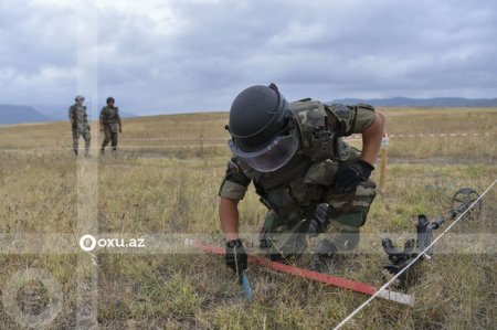 Azad edilmiş ərazilərdə ötən həftə neçə mina aşkarlanıb? - FOTO