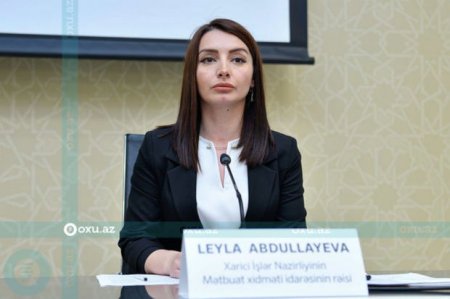 Leyla Abdullayeva: “Ağalı kəndinin sakinləri tezliklə evlərinə qayıdacaqlar” - FOTO