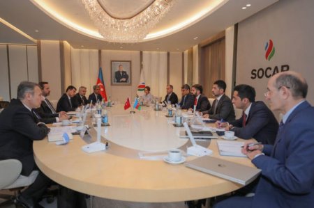 SOCAR prezidenti Türkiyənin energetika və təbii sərvətlər nazirinin müavini ilə görüşüb - FOTO