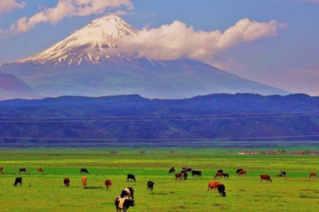 Ermənilərdən Türkiyədə təxribatçı addım 