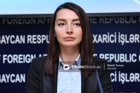 Leyla Abdullayeva: “Gəncə terrorunda Ermənistan beynəlxalq hüququ kobud şəkildə pozub”