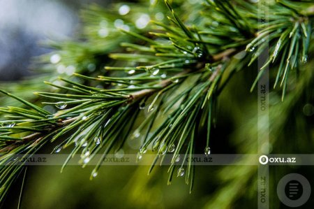 Hava şəraiti ilə bağlı nazirlikdən XƏBƏRDARLIQ