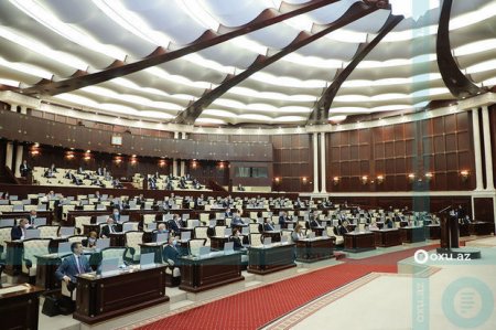 Parlament gender bərabərliyininin təmini ilə əlaqədar hazırlanan illik məlumatı qəbul etdi