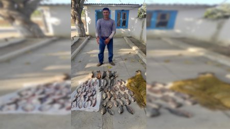 Neftçalada brakonyerliklə məşğul olan şəxs barəsində cinayət işi açılıb