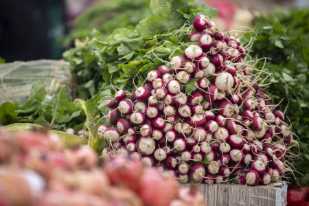“Şəhərdən Kəndə” aqroturizm layihəsinə qoşulan fermerlər “Kənddən Şəhərə” Yeni il yarmarkasında iştirak edəcəklər