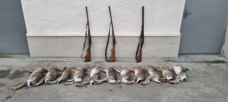 Qanunsuz ovun və mülki silahın daşınması qaydalarının pozulması hallarının qarşısının alınması məqsədilə keçirilən tədbirlər 