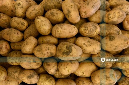 Kartof kəskin bahalaşdı - VİDEO