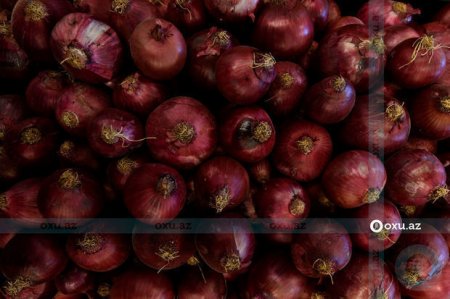 Azərbaycana idxal edilən soğan gömrük rüsumundan azad edildi