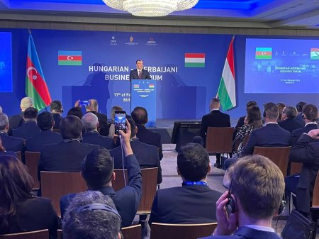 Budapeştdə Azərbaycan-Macarıstan biznes forumu keçirilib