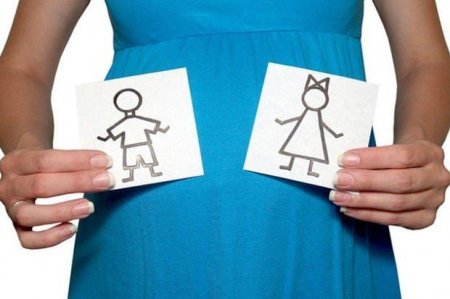 Sosioloq: “Qızları abortla məhv edən həkim və valideynlər məsuliyyətə cəlb olunsunlar”