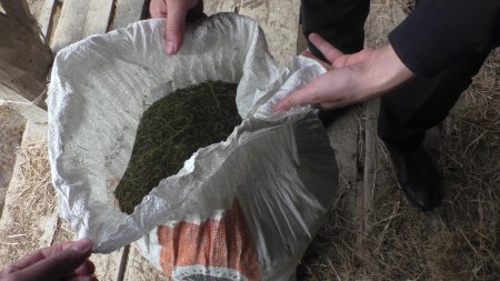 Balakəndə üzərində “Kalaşnikov” avtomatı gəzdirən, torpağın altında narkotik gizlədən şəxslər ifşa ediliblər