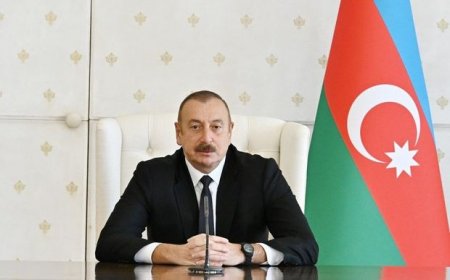 Azərbaycan Prezidenti: “Sərhədlərin delimitasiyası bizim şərtlərimiz əsasında olmalıdır”