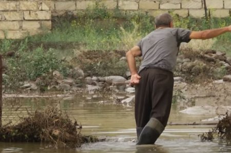 Gəncədə güclü yağış təsərrüfatlara ziyan vurdu - VİDEO