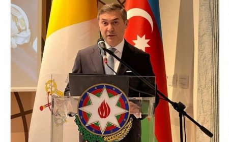 Azərbaycan səfiri: “Qarabağdakı minalar böyük humanitar problemdir”