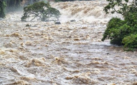 Daşkəsəndə 23 yaşlı oğlanı sel apardı